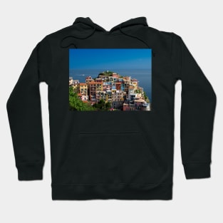 View on the cliff town of Manarola, one of the colorful Cinque Terre on the Italian west coast Hoodie